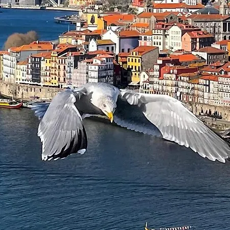 Dom wakacyjny Casa Mira Douro